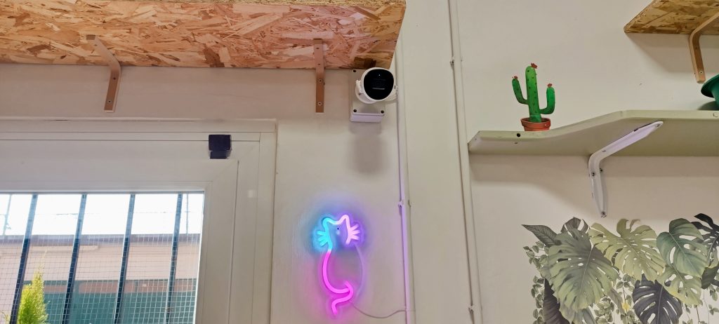 hotel per gatti sicurezza